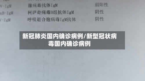 新冠肺炎国内确诊病例/新型冠状病毒国内确诊病例-第1张图片