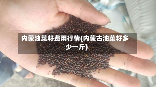 内蒙油菜籽费用行情(内蒙古油菜籽多少一斤)-第1张图片