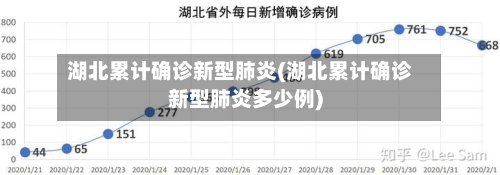 湖北累计确诊新型肺炎(湖北累计确诊新型肺炎多少例)-第2张图片