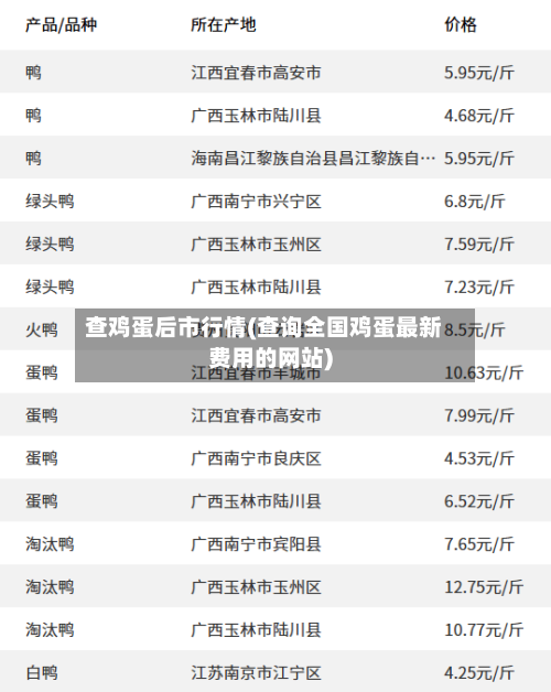 查鸡蛋后市行情(查询全国鸡蛋最新费用的网站)