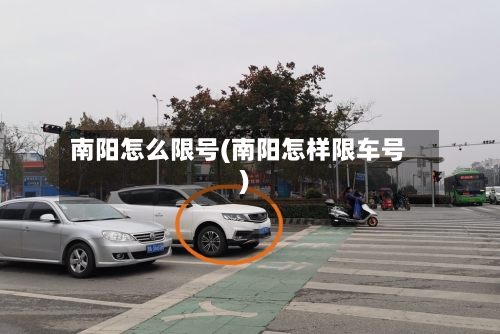 南阳怎么限号(南阳怎样限车号)-第2张图片