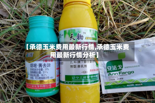 【承德玉米费用最新行情,承德玉米费用最新行情分析】-第1张图片