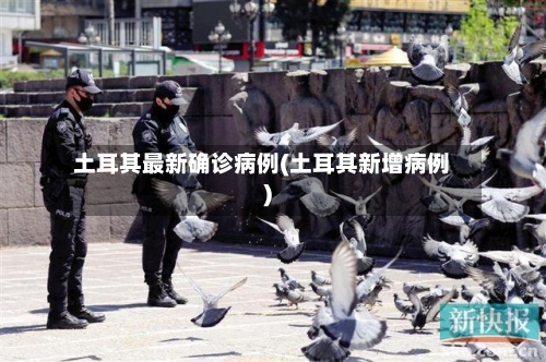 土耳其最新确诊病例(土耳其新增病例)-第2张图片