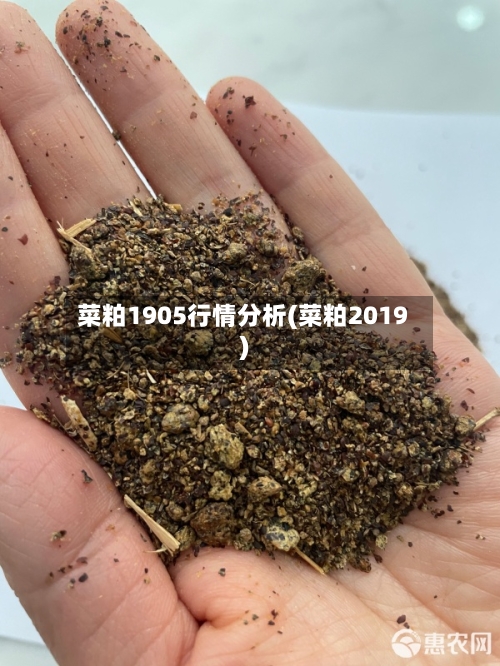 菜粕1905行情分析(菜粕2019)-第1张图片