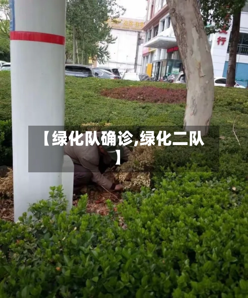 【绿化队确诊,绿化二队】-第3张图片