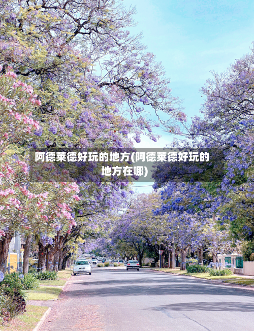 阿德莱德好玩的地方(阿德莱德好玩的地方在哪)