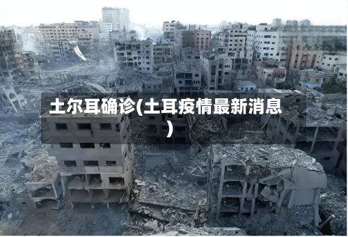 土尔耳确诊(土耳疫情最新消息)-第1张图片