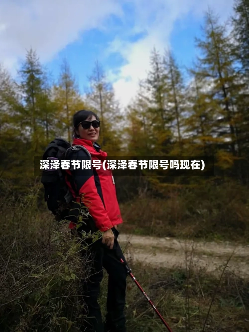 深泽春节限号(深泽春节限号吗现在)-第2张图片