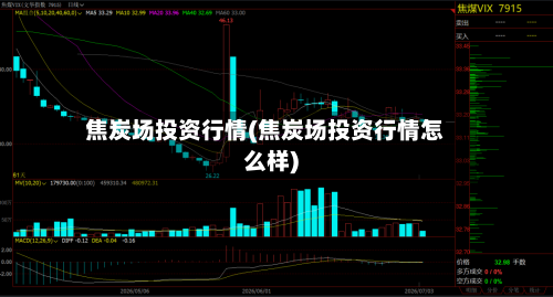 焦炭场投资行情(焦炭场投资行情怎么样)-第2张图片