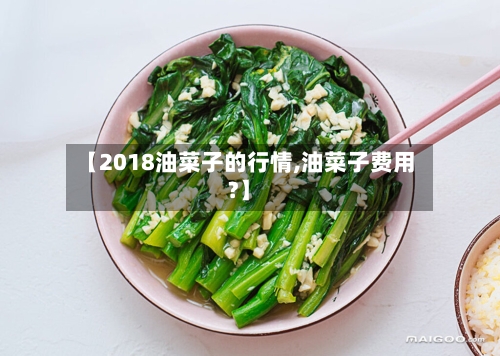 【2018油菜子的行情,油菜子费用?】-第1张图片