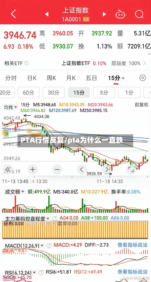 PTA行情反复/pta为什么一直跌-第3张图片
