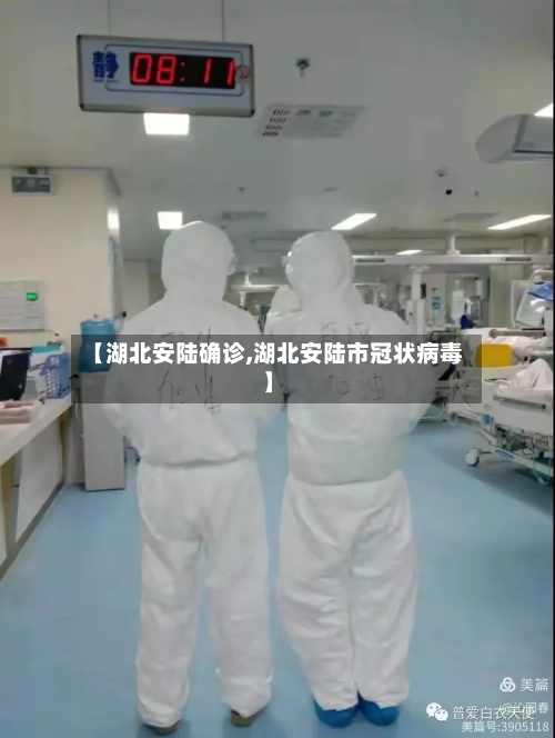 【湖北安陆确诊,湖北安陆市冠状病毒】-第2张图片
