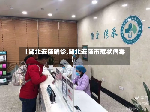 【湖北安陆确诊,湖北安陆市冠状病毒】-第1张图片