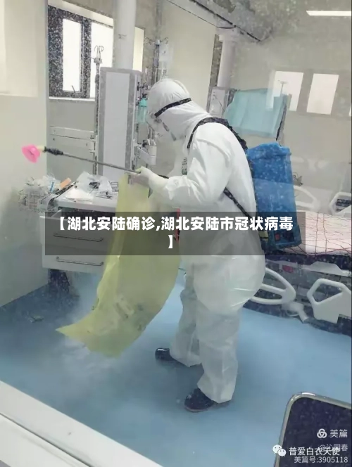 【湖北安陆确诊,湖北安陆市冠状病毒】-第3张图片