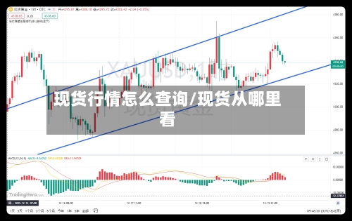 现货行情怎么查询/现货从哪里看