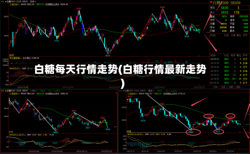 白糖每天行情走势(白糖行情最新走势)-第1张图片