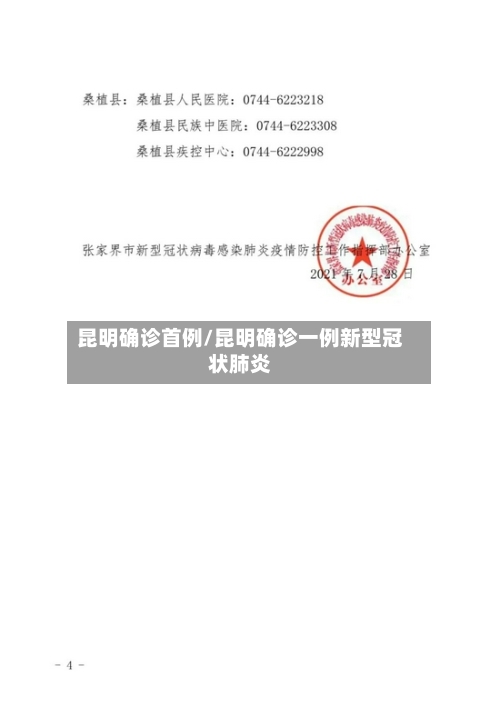 昆明确诊首例/昆明确诊一例新型冠状肺炎-第3张图片