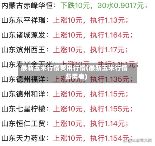 最新玉米行情费用行情(最新玉米行情费用表)-第3张图片