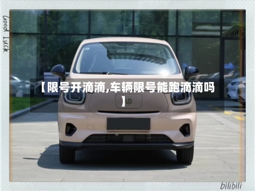 【限号开滴滴,车辆限号能跑滴滴吗】-第1张图片