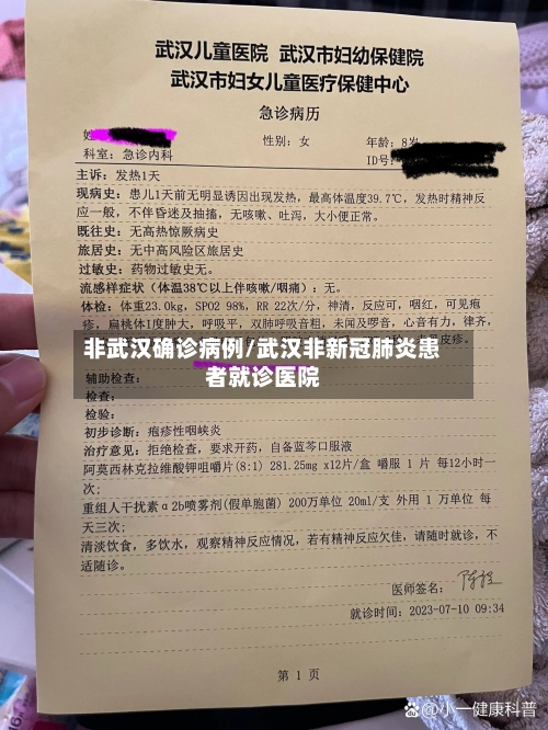 非武汉确诊病例/武汉非新冠肺炎患者就诊医院-第2张图片