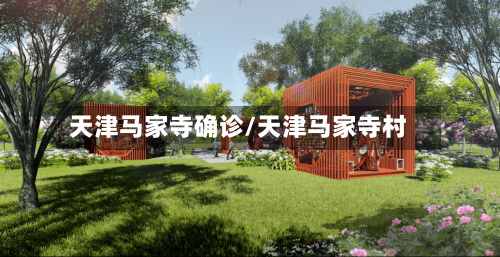 天津马家寺确诊/天津马家寺村-第3张图片