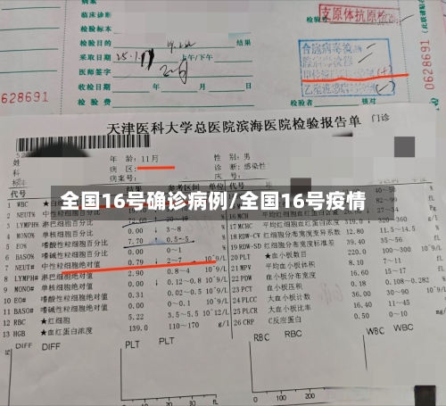 全国16号确诊病例/全国16号疫情
