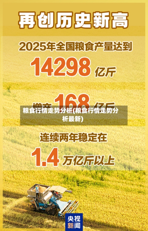 粮食行情走势分析(粮食行情走势分析最新)
