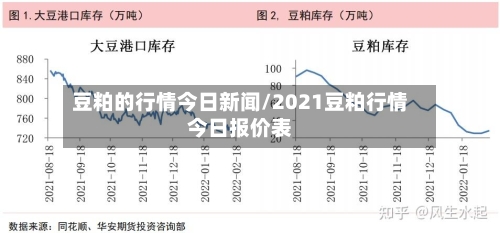 豆粕的行情今日新闻/2021豆粕行情今日报价表-第2张图片