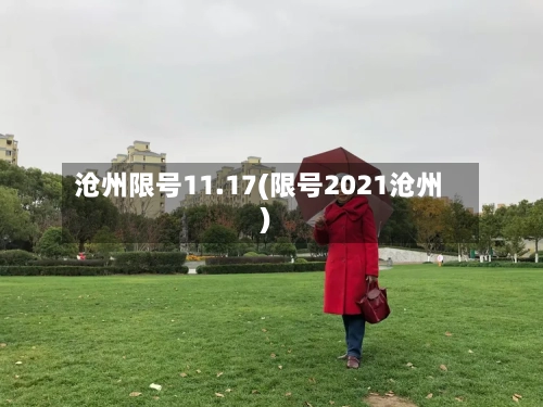 沧州限号11.17(限号2021沧州)-第3张图片