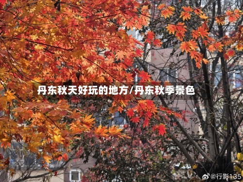 丹东秋天好玩的地方/丹东秋季景色-第3张图片