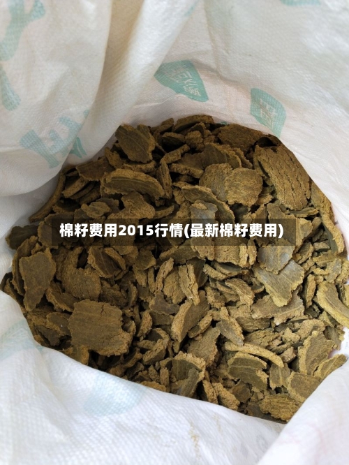 棉籽费用2015行情(最新棉籽费用)-第2张图片