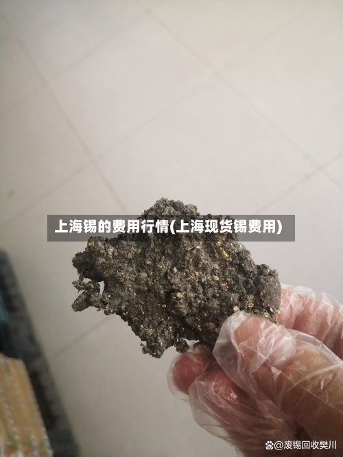 上海锡的费用行情(上海现货锡费用)-第3张图片