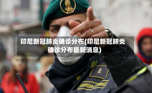印尼新冠肺炎确诊分布(印尼新冠肺炎确诊分布最新消息)-第2张图片