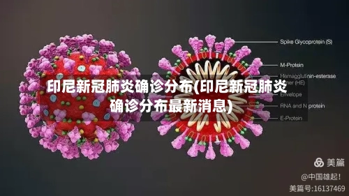 印尼新冠肺炎确诊分布(印尼新冠肺炎确诊分布最新消息)