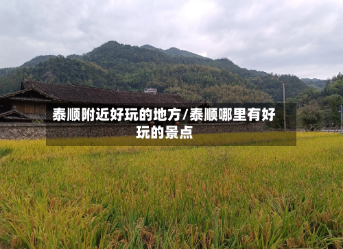 泰顺附近好玩的地方/泰顺哪里有好玩的景点-第2张图片