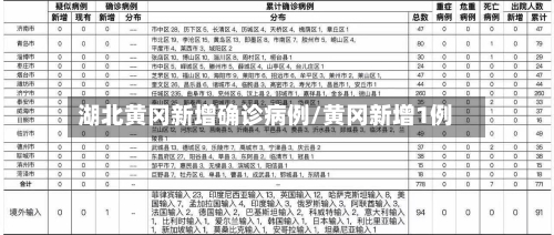 湖北黄冈新增确诊病例/黄冈新增1例-第2张图片