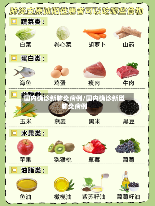 国内确诊新肺炎病例/国内确诊新型肺炎病例