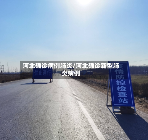河北确诊病例肺炎/河北确诊新型肺炎病例