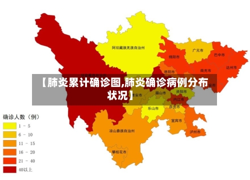【肺炎累计确诊图,肺炎确诊病例分布状况】