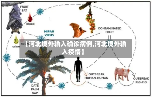 【河北境外输入确诊病例,河北境外输入疫情】