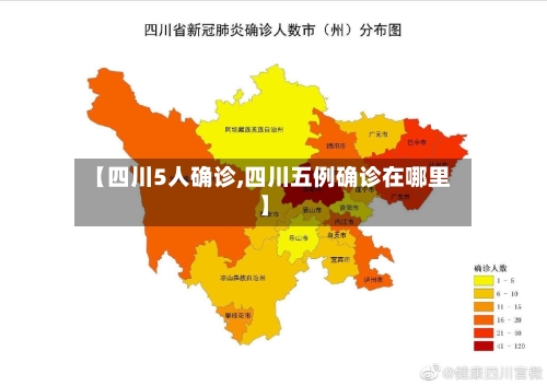 【四川5人确诊,四川五例确诊在哪里】