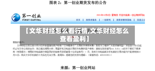 【文华财经怎么看行情,文华财经怎么查看盈利】