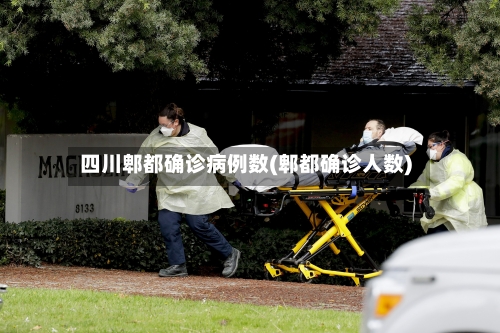 四川郫都确诊病例数(郫都确诊人数)