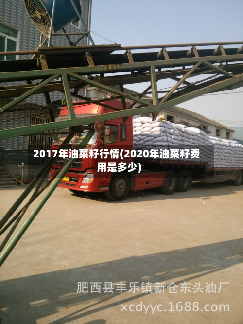 2017年油菜籽行情(2020年油菜籽费用是多少)