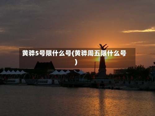 黄骅5号限什么号(黄骅周五限什么号)