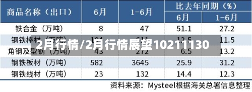 2月行情/2月行情展望10211130