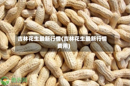 吉林花生最新行情(吉林花生最新行情费用)-第2张图片