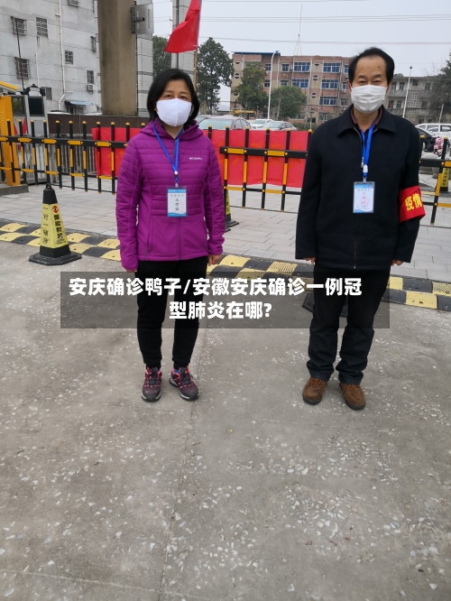 安庆确诊鸭子/安徽安庆确诊一例冠型肺炎在哪?-第2张图片