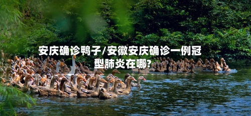 安庆确诊鸭子/安徽安庆确诊一例冠型肺炎在哪?
