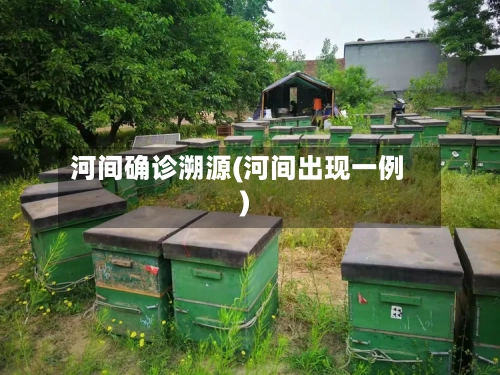 河间确诊溯源(河间出现一例)